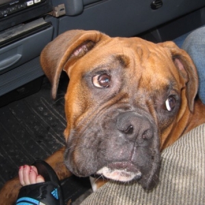 Whatcha got there??