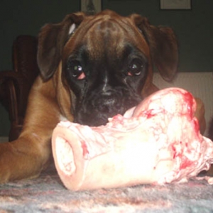 Ruby 21 weeks.