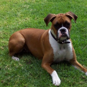 Samantha 8 Month's Old Today