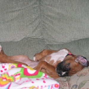 My tired baby!