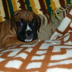 Haley relaxing!