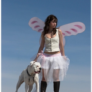 A butterfly and a boxer