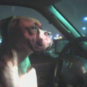 Driving Mommy