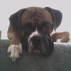 Take my picture, dad