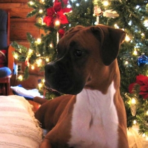 Christmas