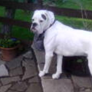 Posing!