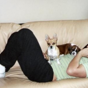 Not on the couch!