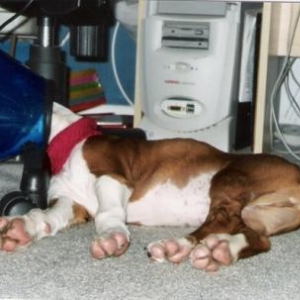 scan0014