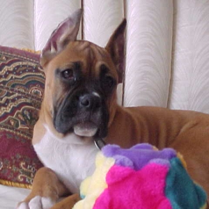Dutchess 3-1-06