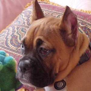 Dutchess 3-1-06