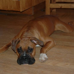 What?  Have you tried to lay this way?
