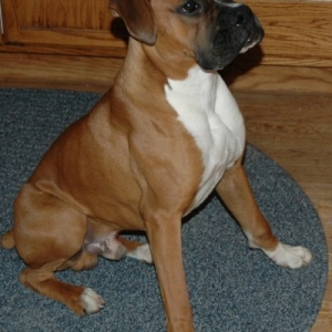 Riley at 7 mos
