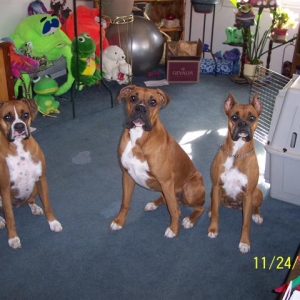 My rough band of misfits