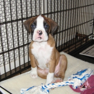 Blue - looking worried