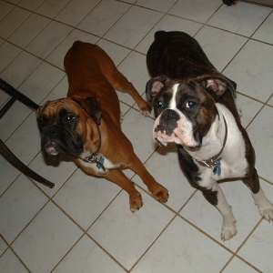 rock_and_buster2