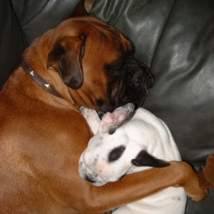 rock_and_quinn