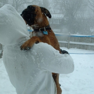 rock_in_the_snow2