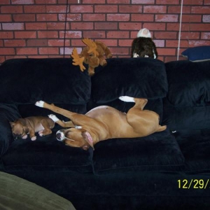 a little nap