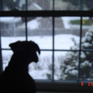 Hey.. where'd ya go mom?