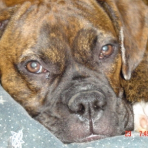 I am so.... camera shy!!