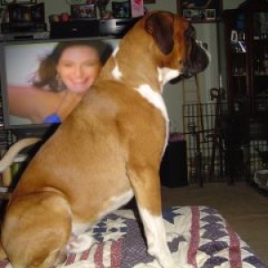 On the ottoman
