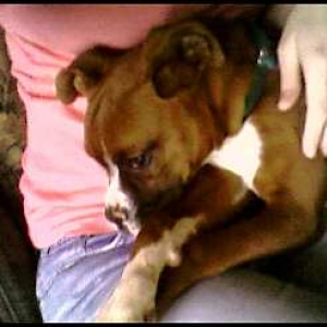 Mommy's Lap Is The BEST!