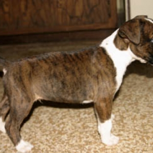 Buster's Right Side