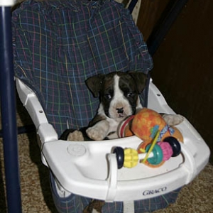 Look Who Found The Baby Swing!!!