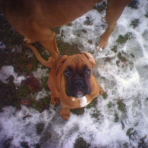NEW ADDITION TO THE FAMILY