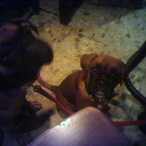 AZZY AND NELLY