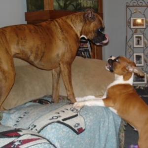 What are you licking?