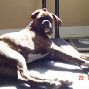 Hard day exercising!