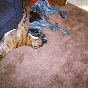 Emma & Orlando Napping