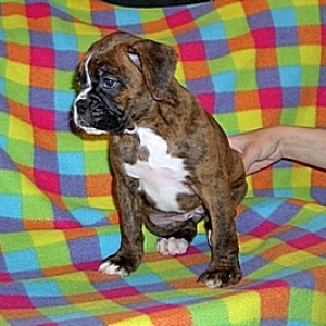 Emma Six Weeks