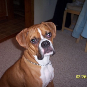 Samson11