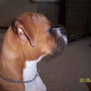 Do you like my profile?
