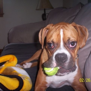 Tennis Anyone?