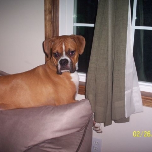 Window watching...but it's dark outside?!!