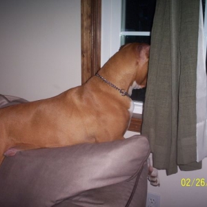 Samson_window2