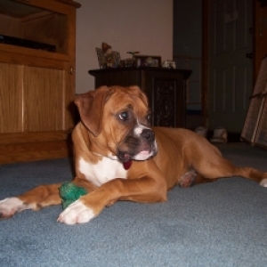 Zeus, so handsome...