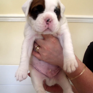 Luka 3 weeks 1.