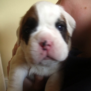 Luka close 3 weeks.
