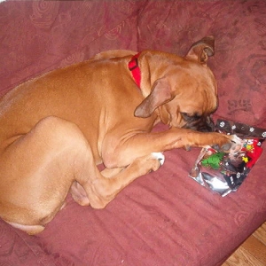 my skittles, dont touch