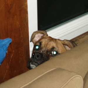 hiding