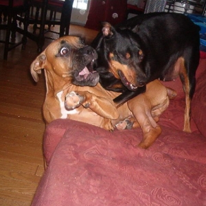 No!!! I am tellin mom!