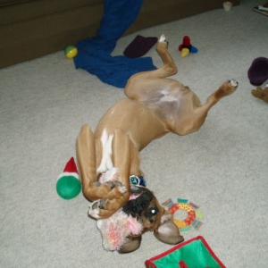 silly girl