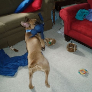 action shot