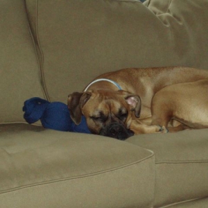 nap time with the wubba