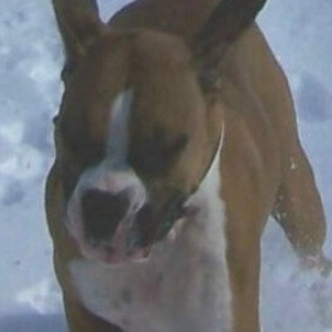 Ali running in the snow
