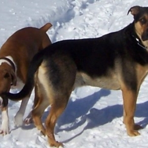 Me_and_my_buddy